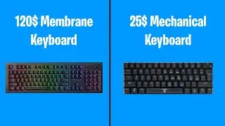 Cheap Mechanical Keyboard vs Expensive Membrane Keyboard