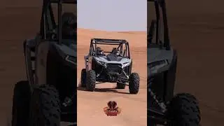 Cobra Dunes &mdash; RZR Buggy Adventure & Desert Thrill Ride Experience