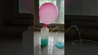 Science experiment with Baloon#viral #scienceexperiment #fun #chemistry #shortvideo #science