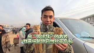 用&ldquo;国际化&rdquo;的方式打开岷县中药材种苗交易#gansu #chinesemedicine #dingxi