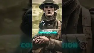 Shocking World War One facts #fcats #ww1