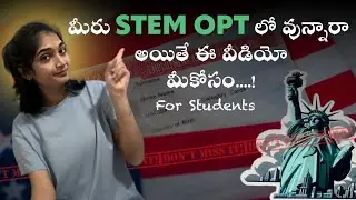 Инцидент с моей программой STEM OPT 🚨 | Что должен знать каждый иностранный студент 🇺🇸🎓