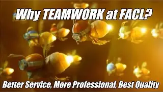 Fine Art Conservation Laboratories Teamwork (FACL, Inc.)
