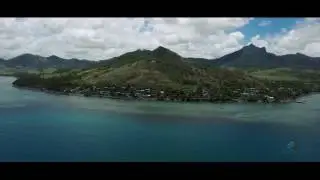 WittyDonut Mauritius- Bambous
