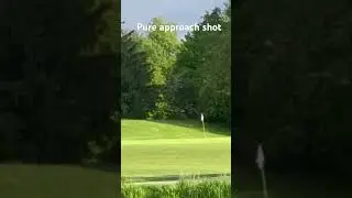 Pure approach shot🔥🔥 #pga #golf #pure