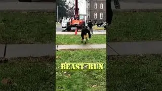 James McAvoy Beast Run stunt rehearsal on set of M.Night GLASS - #shorts #bts