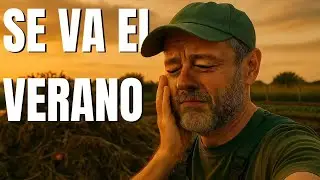 Transformando el huerto  del verano al otoño   La Horteta de Bussy
