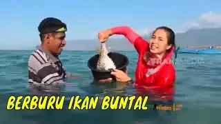 Finda Andrian Berburu Ikan Buntal | JEJAK PETUALANG (14/11/21)