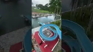Hilarious Little Pup LOVES Giant Waterslide! #Dogs #Shorts