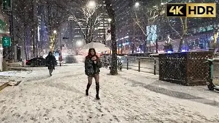 서울 한파에 기습폭설 눈 내리는 역삼동 ❄️서울 강남 겨울 야경 Seoul Cold Wave❄️ Sudden Heavy Snowfall | Yeoksamdong Night Walk
