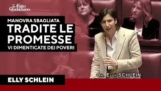 Schlein: 
