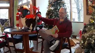Mailbag 2026-01-10: More Christmas cards & letters