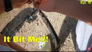 [THE SMARTEST FISH] ALIVE!!!: Fishing the (Oleta River State Park) Miami, Fl.