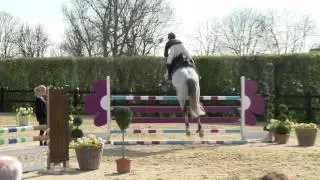 Cayado Hengstschau 2017