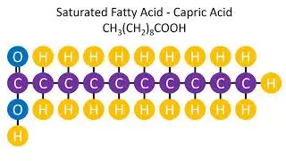 Saturated Fatty Acid - Capric Acid CH3(CH2)8COOH