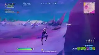 Fortnite Wild Hearts Cup