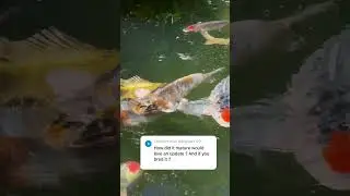 Feeding Time…