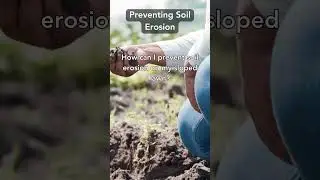 Erosion Eradication: How to Prevent Soil Erosion Effectively!
