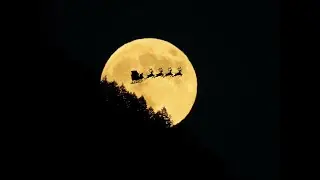 RuCam Christmas 2024