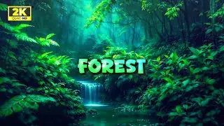 Deep Forest Relaxation 🌲 | Peaceful Nature Sounds for Stress Relief & Sleep