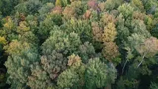 Fall Color Just Starting At The Farm