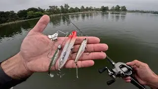 Fishing Small Topwater Lures for BIG City Bass in Los Angeles