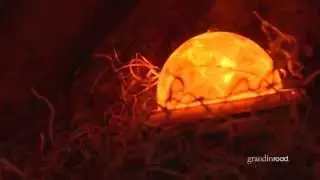 Fire and Ice Spotlight