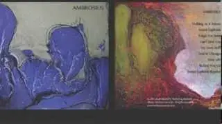 Can't Save You - Ambrosius