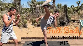 MMA Striking Workout For Beginners | 15 Minutes At Home | Day 19
