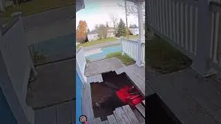 DELIVERY MAN FALLS THROUGH THE PORCH # fyp #funny step light