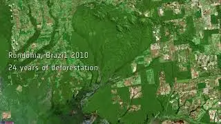 Fundamentos de Ecologia de Paisagem