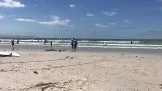 Surfers Corner🏄🏻🏄🏻&zwj;♂️one summers day 😎