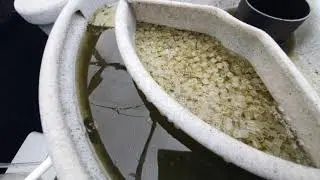 Eazypod To Toilet~Mucky!