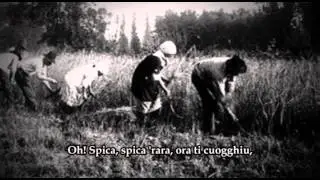 Cantu di li  Scugghitura - Solo Fisarmonica
