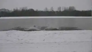 Frisheid