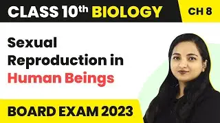 Sexual Reproduction in Human Beings - How Do Organisms Reproduce ? | Class 10 Biology Ch 8 2022-23