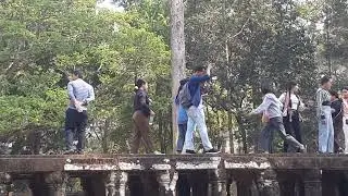 Young Khmer ladies are afraid of Angkor forest monkeys