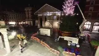 Covent Garden Christmas Tree 2014