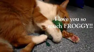 Froggy McSunday =)