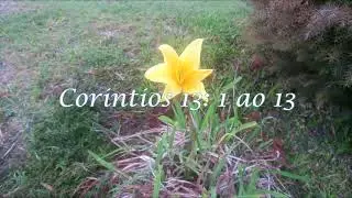 Filosofia Crist&atilde;