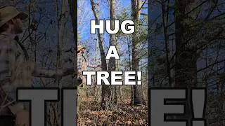 Go Hug A Tree! #treehugger #hug #naturelover #mentalhealth #reducestress #improvefocus #shorts #hug