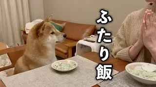 愛犬とふたり暮らし｜この時間がずっと続きますように