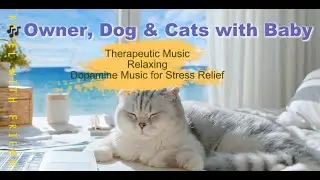 🎶Owner, Dog & Cats with Baby Therapeutic Music | Relaxing Dopamine Music for Stress Relief #dopamine