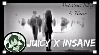 &deg;Nightcore ⇾ Juicy x Insane [Notorious BIG & Flume]&deg;