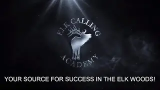 Elk Calling Academy Intro