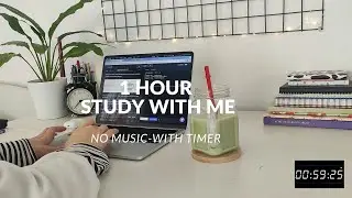 1 hour study/code with me | background noise, no music, realtime , with timer