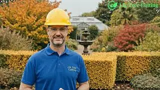 Professional Tree Cutting & Garden Maintenance Services in Galway | J.B Property Maintenances