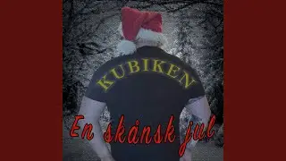 En Sk&aring;nsk Jul
