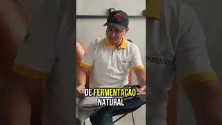 CURSO GRATUITO DE P&Atilde;O DE FERMENTA&Ccedil;&Atilde;O NATURAL