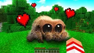 ENCONTREI A ARANHA MAIS FOFA DO MINECRAFT !